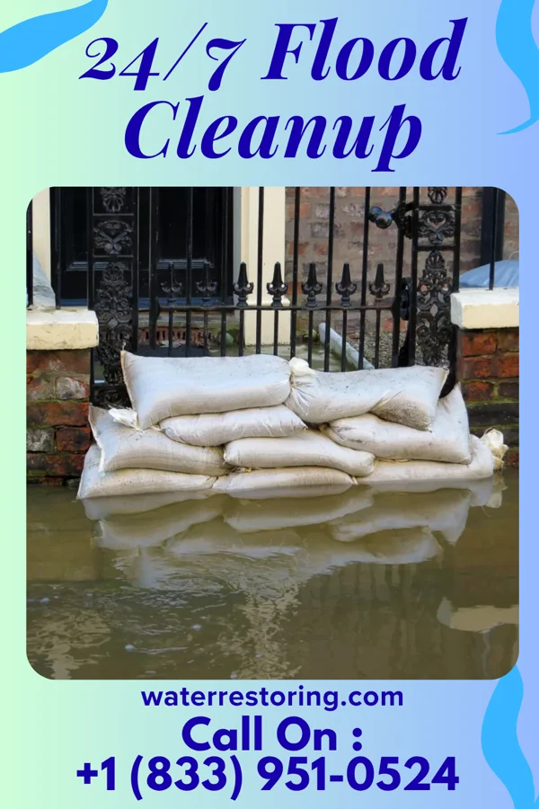 24/7 Flood Cleanup in Mount Zion, GA