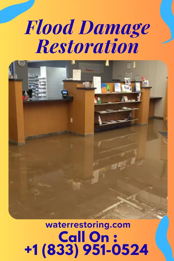 Flood Damage Restoration in Mount Zion, GA