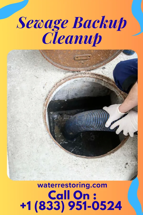 Sewage Backup Cleanup in Mount Zion, GA